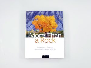 MORE THAN A ROCK – GUY TAL***